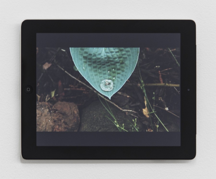 10-rowe-1248a0e56a84fb8a4af49b2274a4e39b