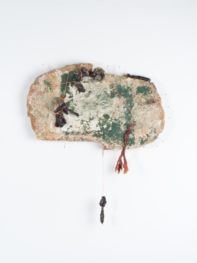 burning-9-8a28d295fae7409ccc8f870bc2e2521d